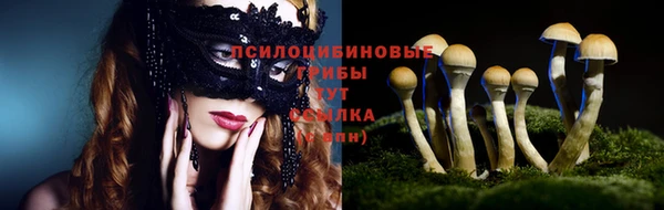 дживик Осинники