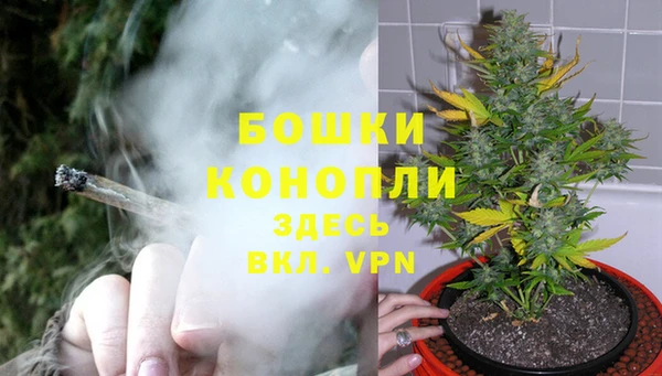 дживик Осинники