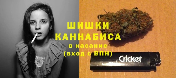 дживик Осинники