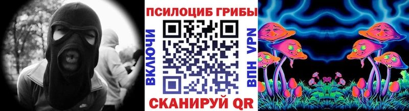 ОМГ ОМГ как зайти  Лыткарино  Псилоцибиновые грибы GOLDEN TEACHER  где продают  